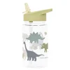 A Little Lovely Company Water Bottle, Dinosaur