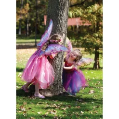 Great Pretenders Dress-Up Costume, Fairy Wings - Rainbow