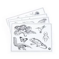 Moulin Roty Light-Up Drawing Board, Tout autour du monde