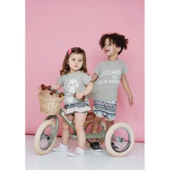 Trybike Tricycle Balance Bike, Vintage Green with Retro Look