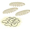 Wild+ Cool, Glow-in-the-Dark Maggots